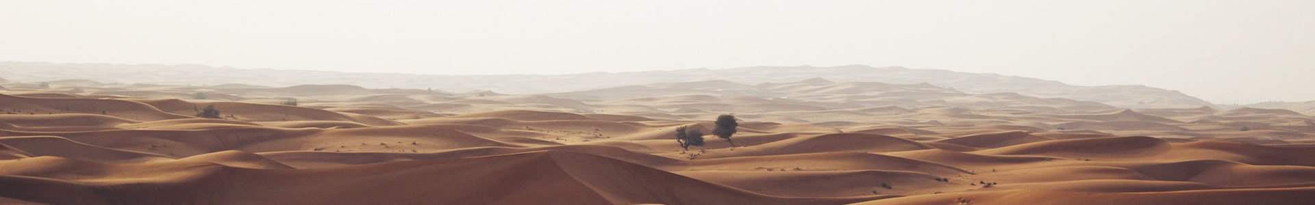 ɺƼ޹˾